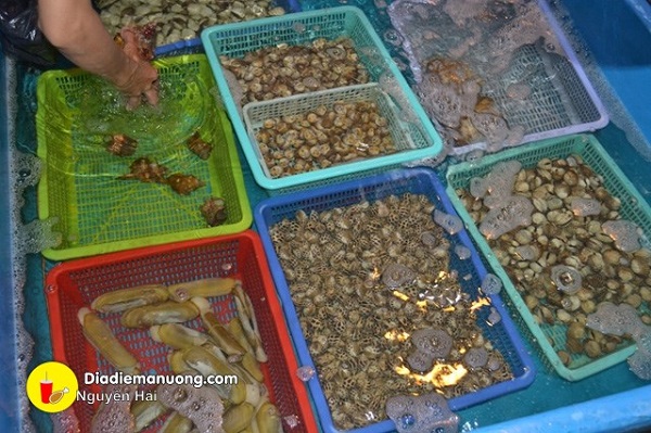 Đa dạng các loại hải sản tươi sống tại Giang Ghẹ
