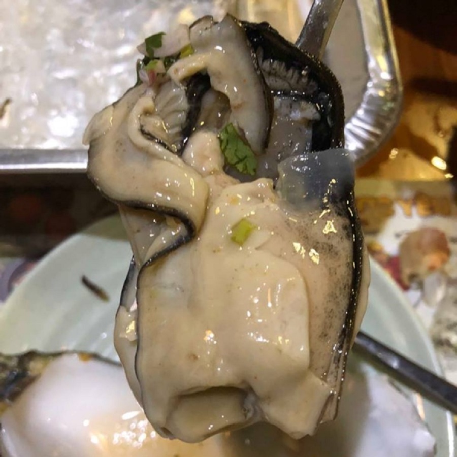 Thịt Hàu Mỹ