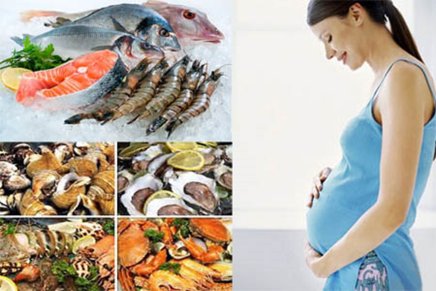 Hải sản là nguồn dinh dưỡng dồi dào cho mẹ và bé