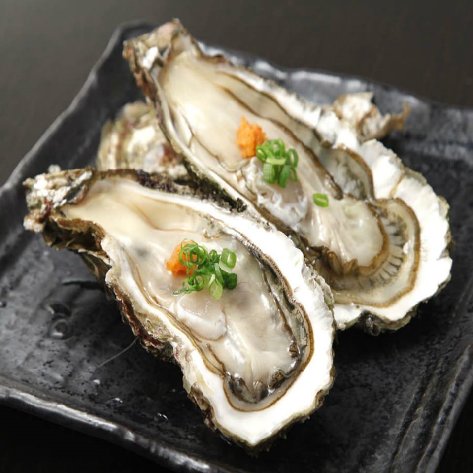 Hàu Nhật Ăn Sashimi